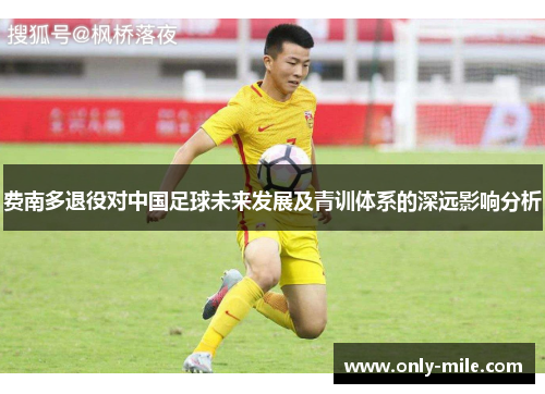 费南多退役对中国足球未来发展及青训体系的深远影响分析