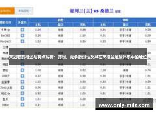 英冠联赛概述与特点解析:赛制、竞争激烈性及其在英格兰足球体系中的地位 英冠联赛概述与特点解析:赛制、竞争激烈性及其在英格兰足球体系中的地位