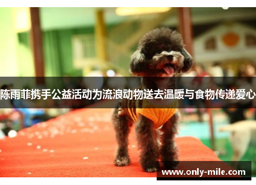 陈雨菲携手公益活动为流浪动物送去温暖与食物传递爱心 陈雨菲携手公益活动为流浪动物送去温暖与食物传递爱心