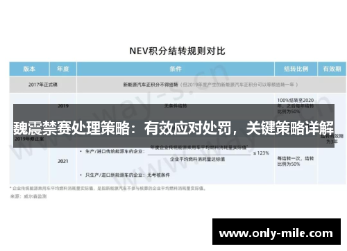 魏震禁赛处理策略：有效应对处罚，关键策略详解