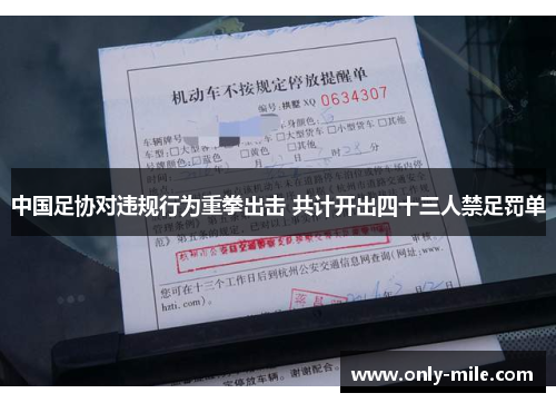 中国足协对违规行为重拳出击 共计开出四十三人禁足罚单