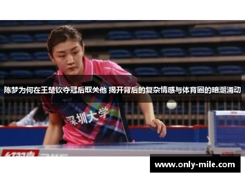 陈梦为何在王楚钦夺冠后取关他 揭开背后的复杂情感与体育圈的暗潮涌动